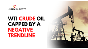 crude oil