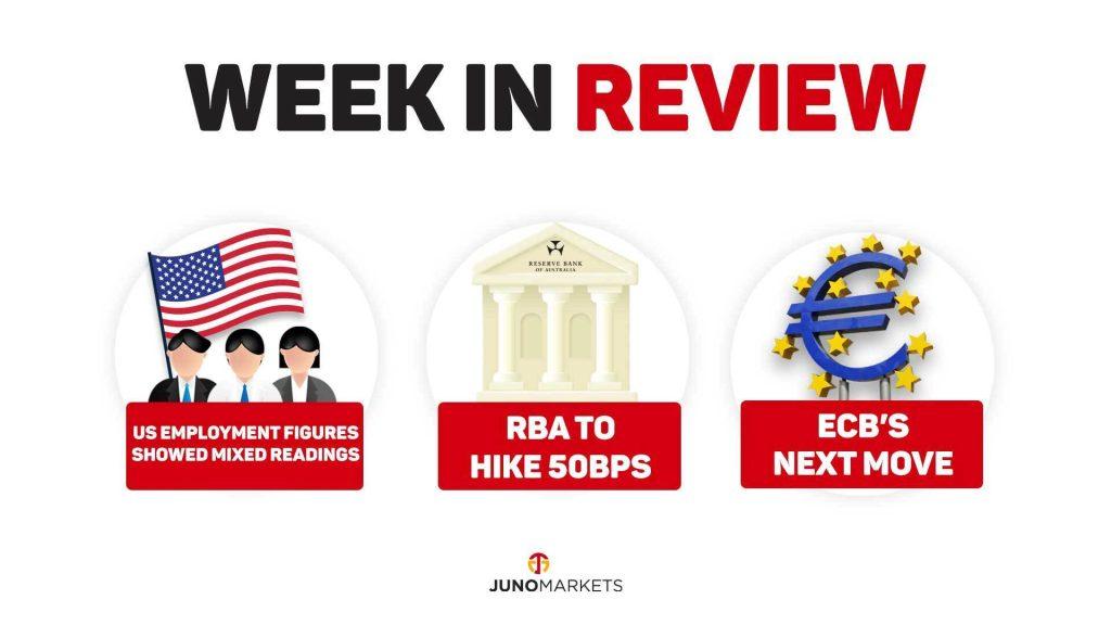 week in review